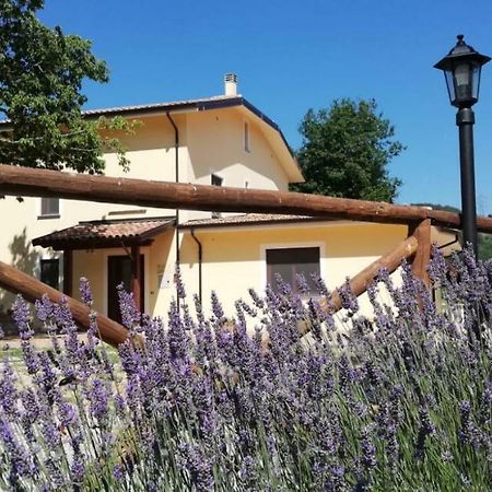 Agriturismo Acquafredda Villa Mormanno Exterior photo